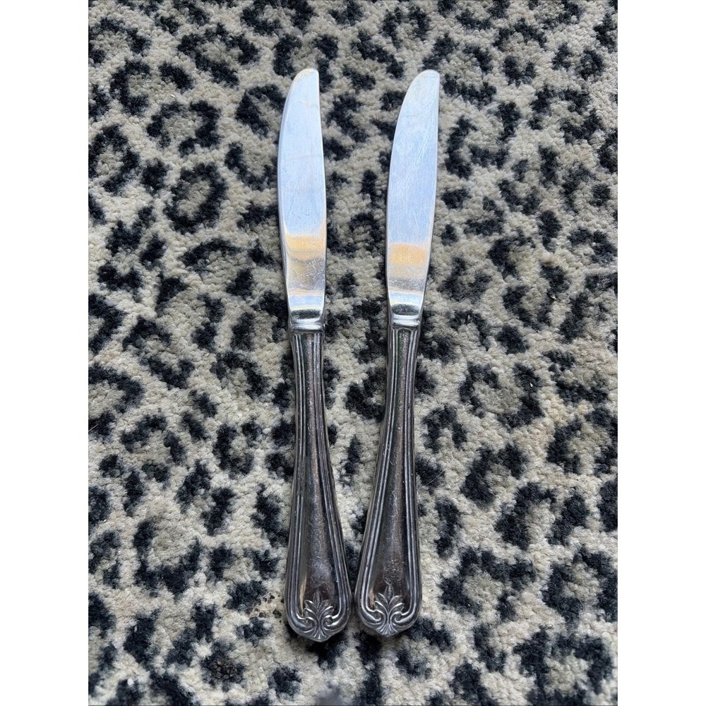 2 Dinner Knives Lenox BUTLERS GOURMET 18/8 Stainless Plume China Flatware 9 1/2"